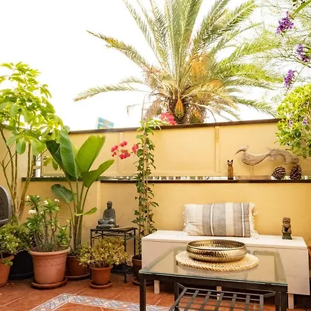 Apartment Melo's Place - Cozy With A Sunny Terrace. *