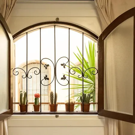 Apartment Melo's Place - Cozy With A Sunny Terrace. *